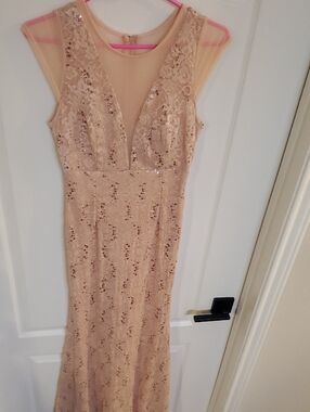 La Scala Blush Pink Lace Sequin Maxi Dress with Sheer Bodice
